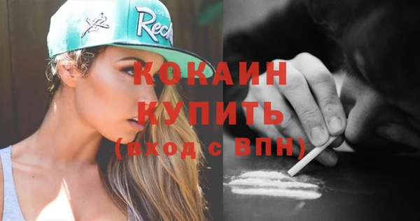 прущие грибы Бородино
