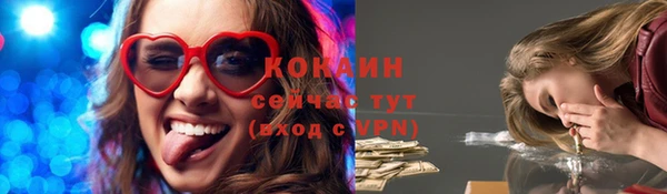 прущие грибы Бородино