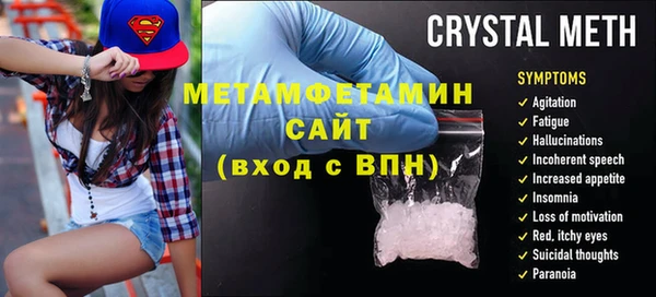 прущие грибы Бородино