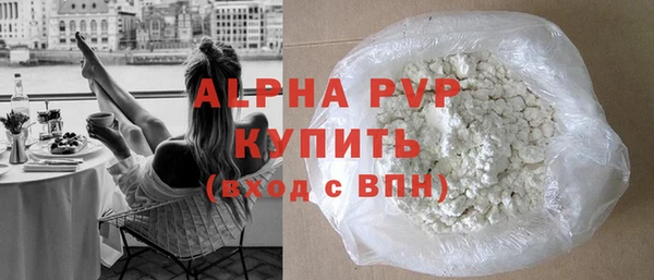 прущие грибы Бородино